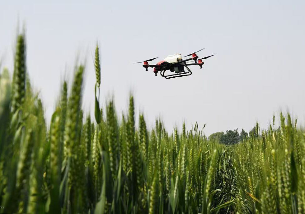 agriculture